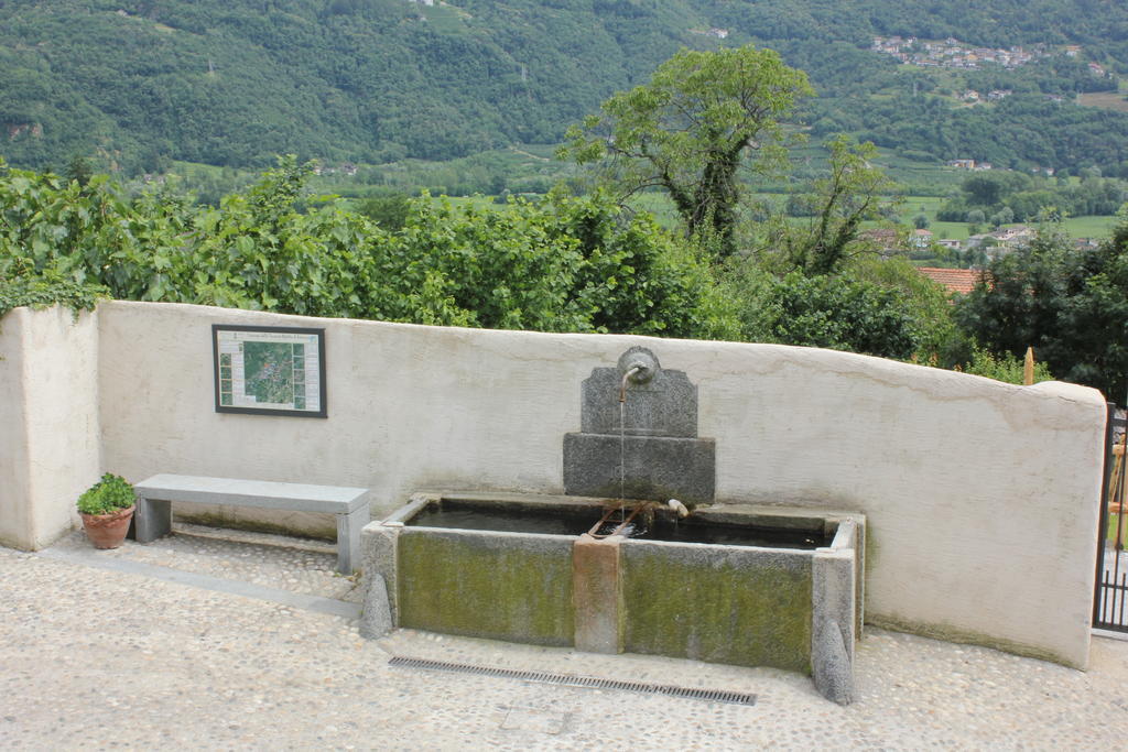 Antico Filare Bianzone