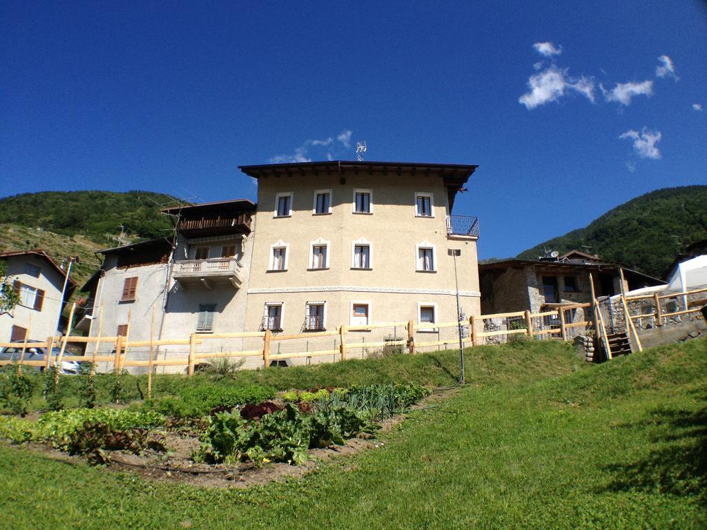 Antico Filare