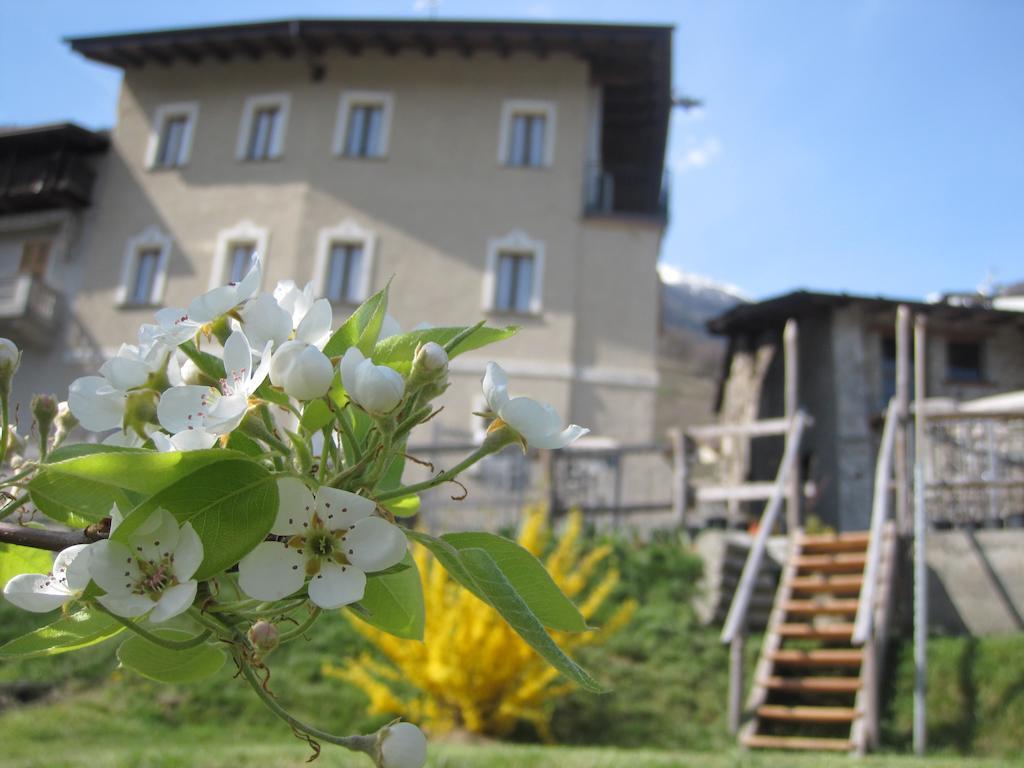Agriturismo Antico Filare *