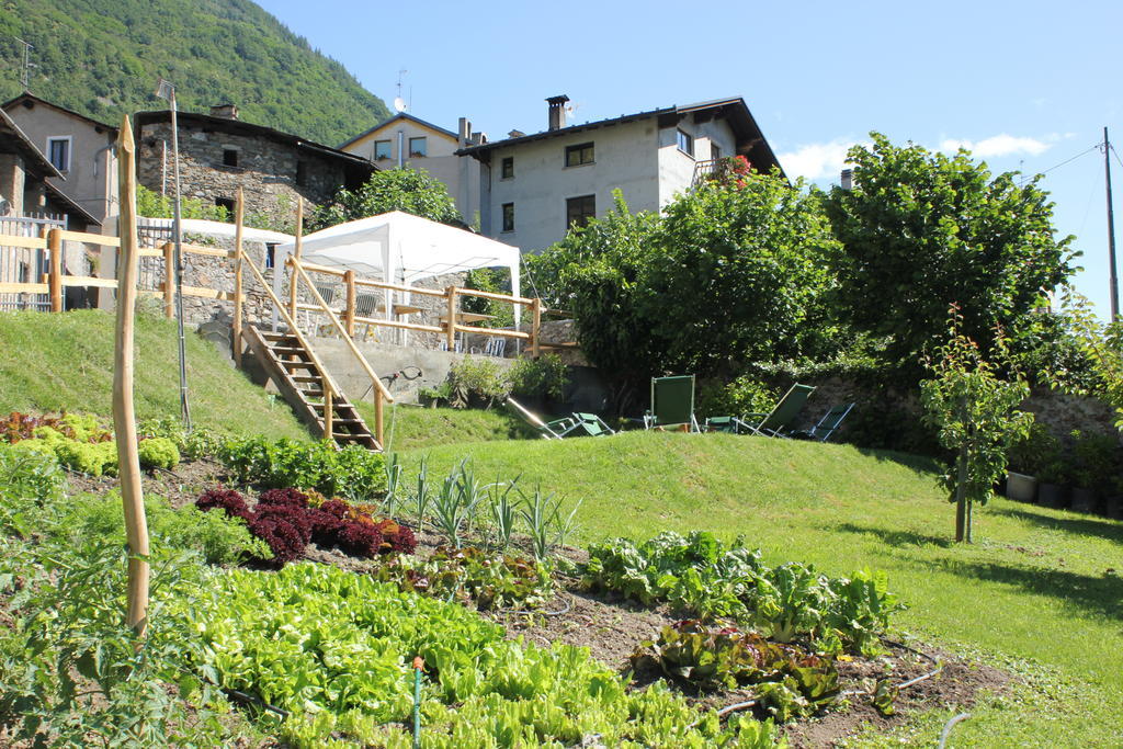 Farm stay Agriturismo Antico Filare Bianzone