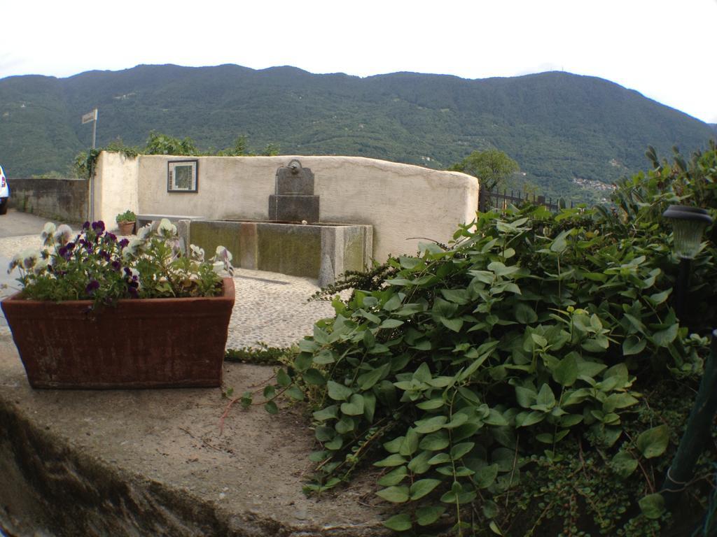 Farm stay Agriturismo Antico Filare *
