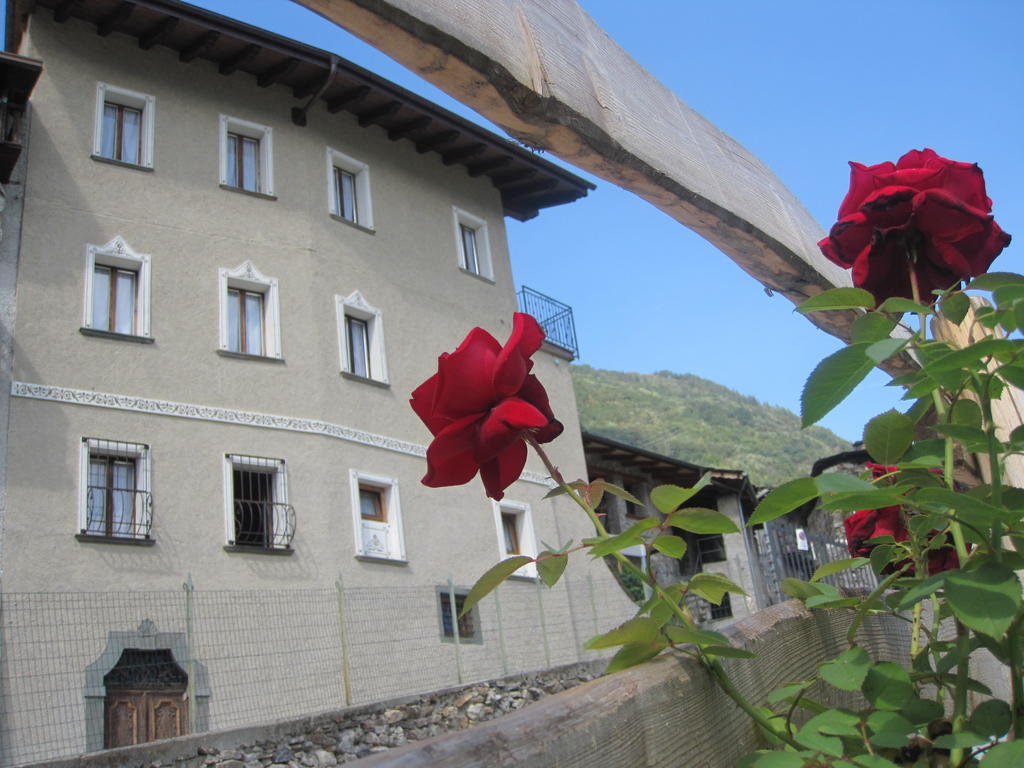 Farm stay Agriturismo Antico Filare Bianzone